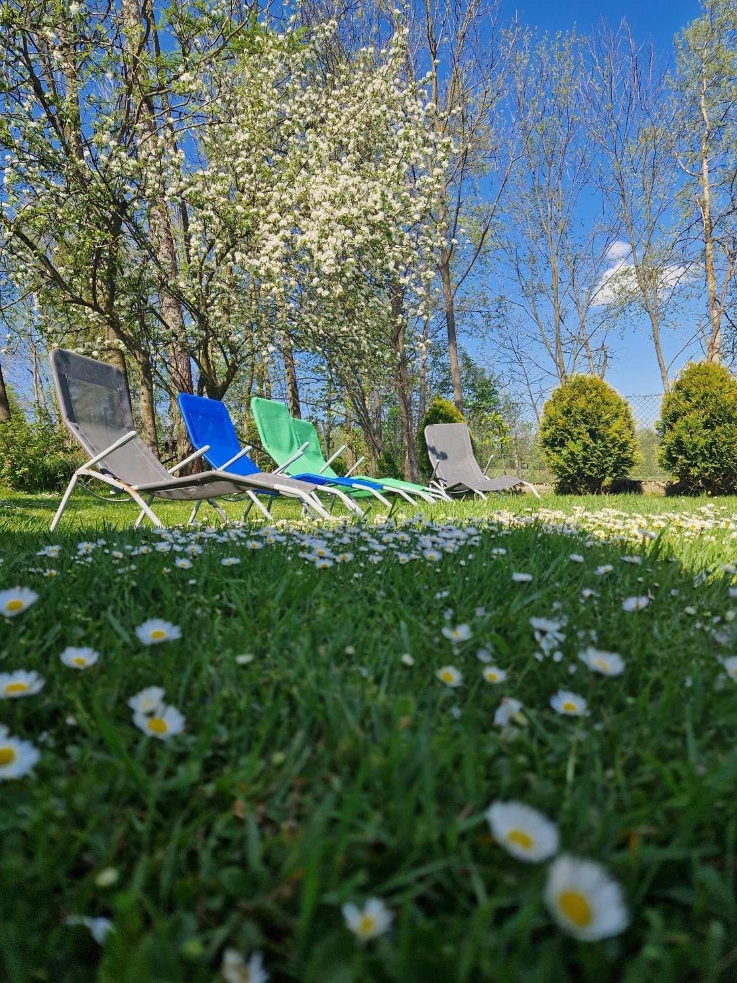 Apartamenty I Pokoje W Willi Na Ubocy Suche Bagian luar foto