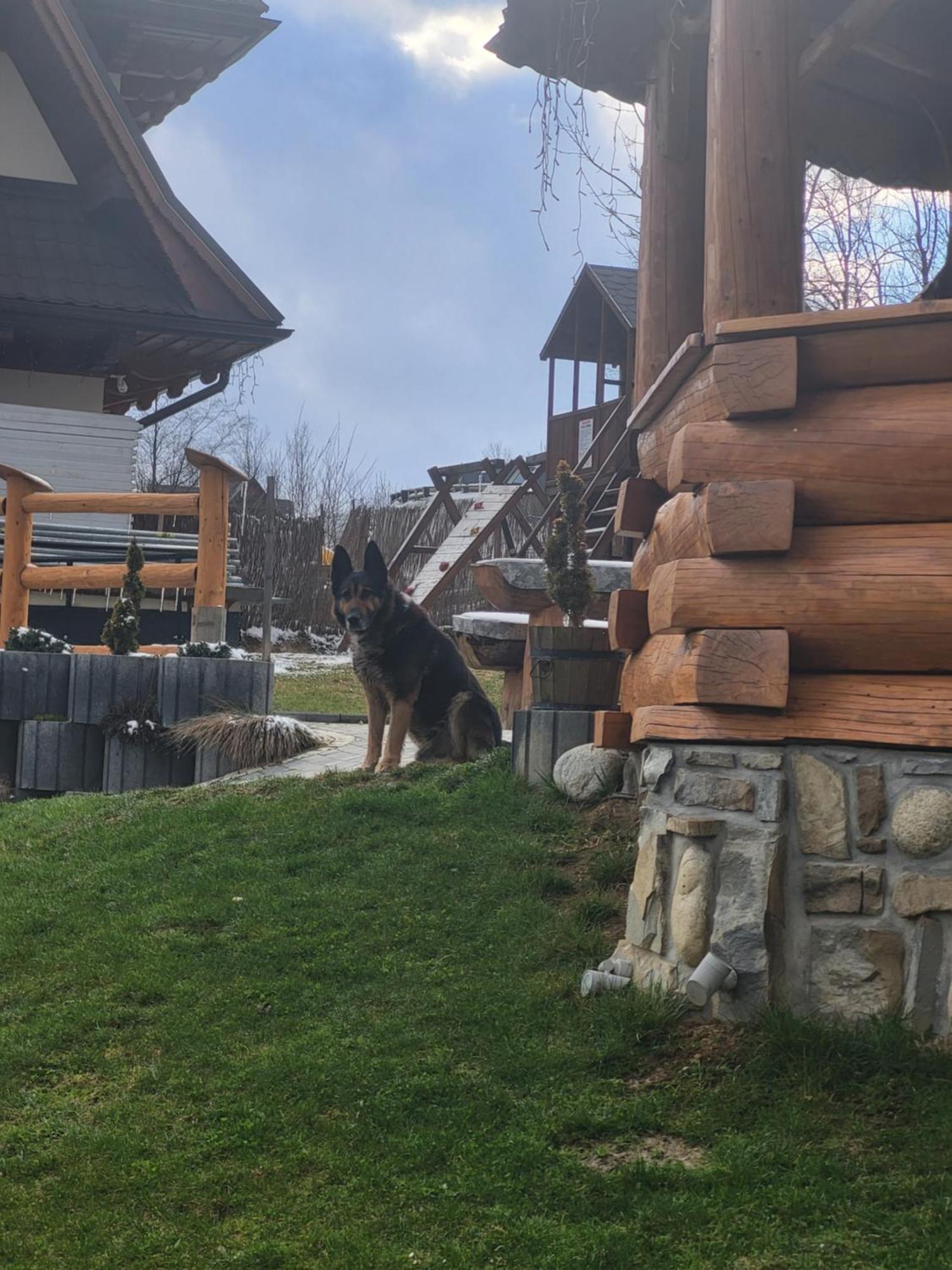 Apartamenty I Pokoje W Willi Na Ubocy Suche Bagian luar foto