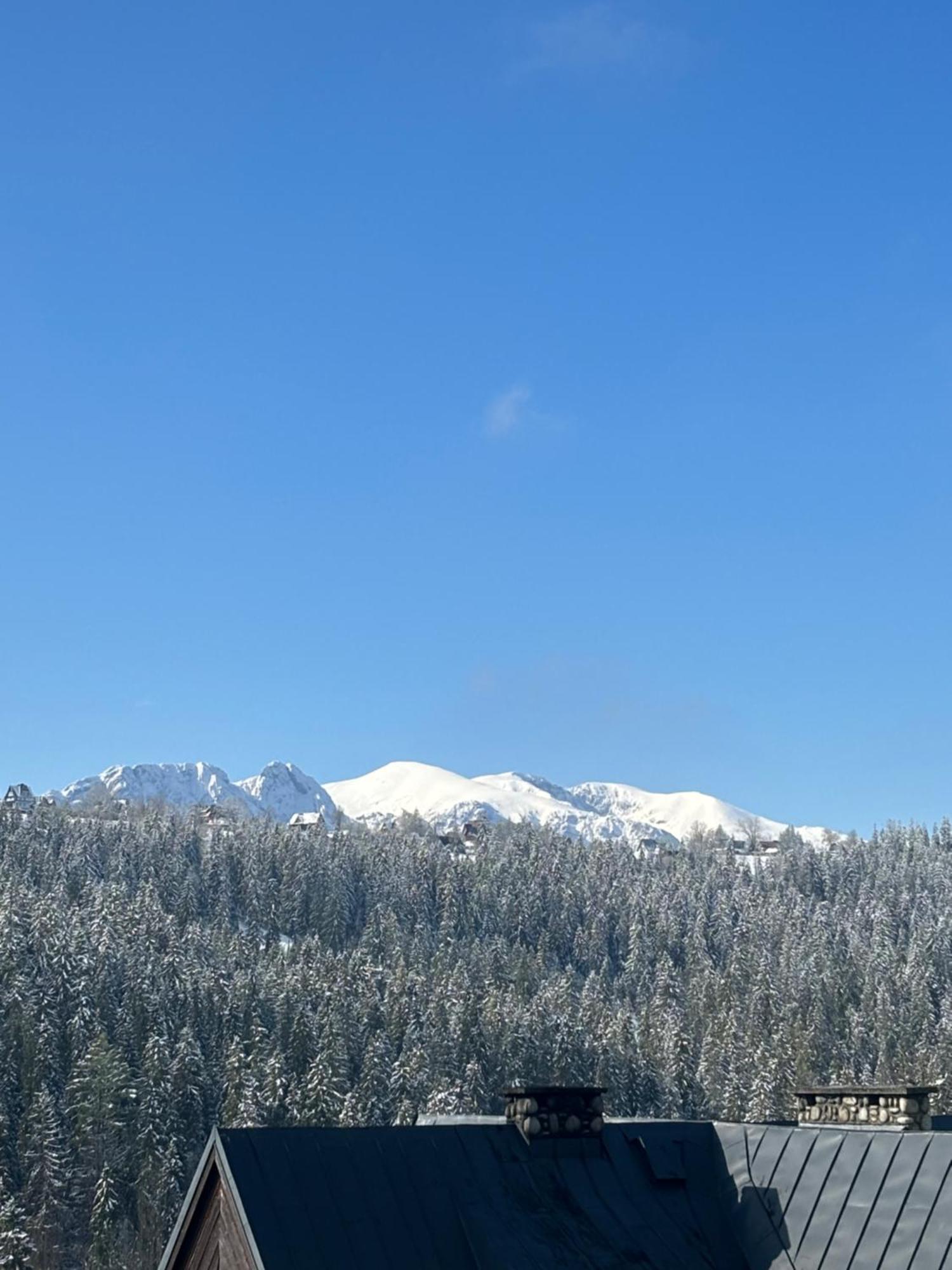 Apartamenty I Pokoje W Willi Na Ubocy Suche Bagian luar foto